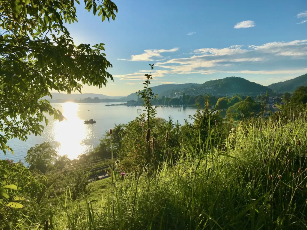 Abendstimmung am See Goldene Abendstimmung am Bluetenweg mit Blick ueber den Bodensee Richtung Ludwigshafen