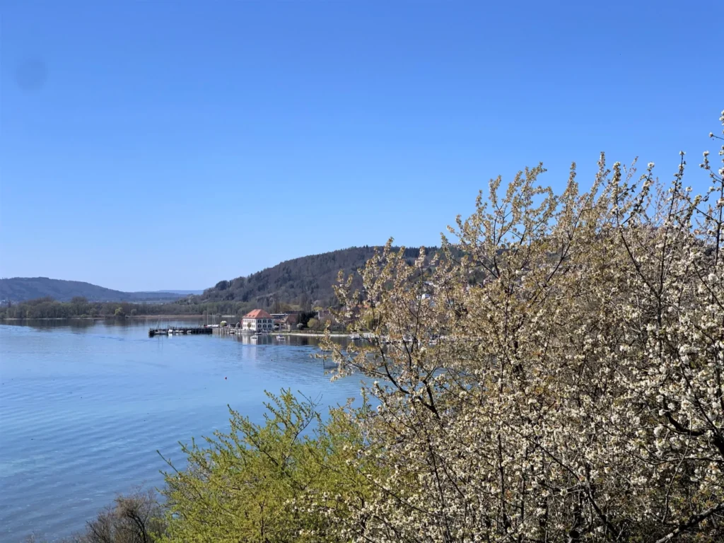 Fruehling am Bodensee Fruehlingsblick vom Bluetenweg auf den Bodensee mit bluehendem Obstgarten und Bootshaus