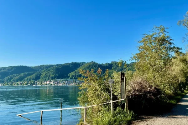 Naturstrand im Naturschutzgebiet Bodman-Ludwigshafen mit klarem Bodenseewasser und bewaldeten Huegeln