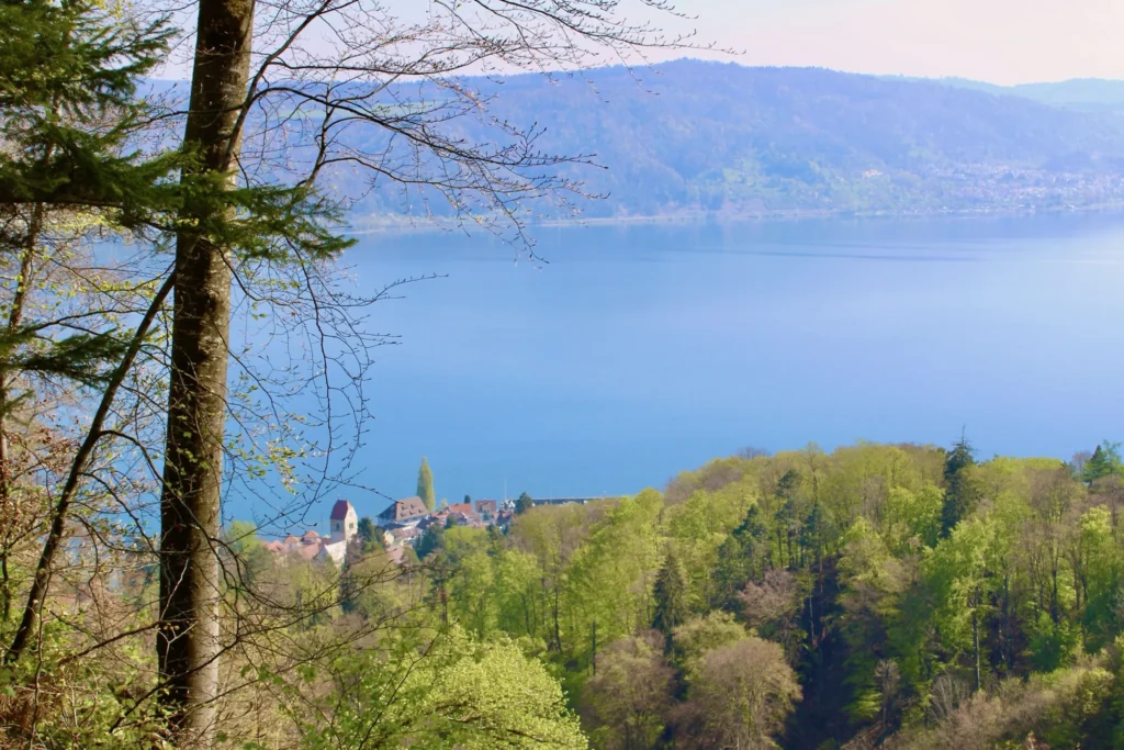 Panoramablick auf den Ueberlinger See Panoramablick von den Huegeln ueber Bodman und den Ueberlinger See am Bodensee