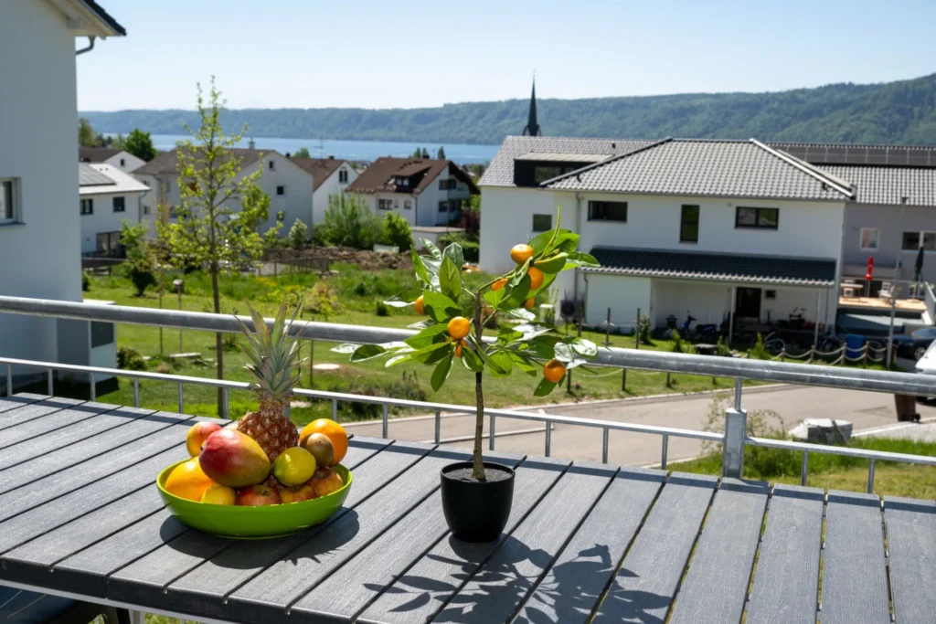 ferienhaus-aura-balkon-obstschale-bodensee-detail Detailaufnahme vom Balkon des Ferienhaus Aura mit frischer Obstschale, Kumquat-Pflanze und Bodensee im Hintergrund